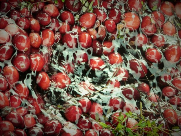 Full frame shot of cranberries