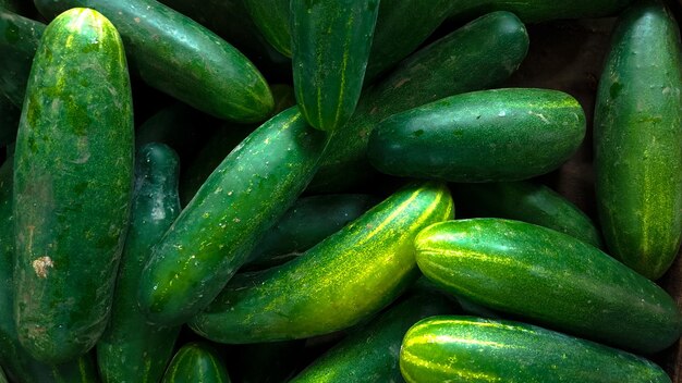Full frame shot of cucumber