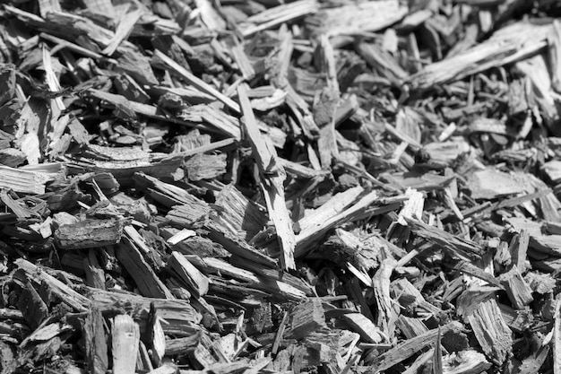 Photo full frame shot of dried wood