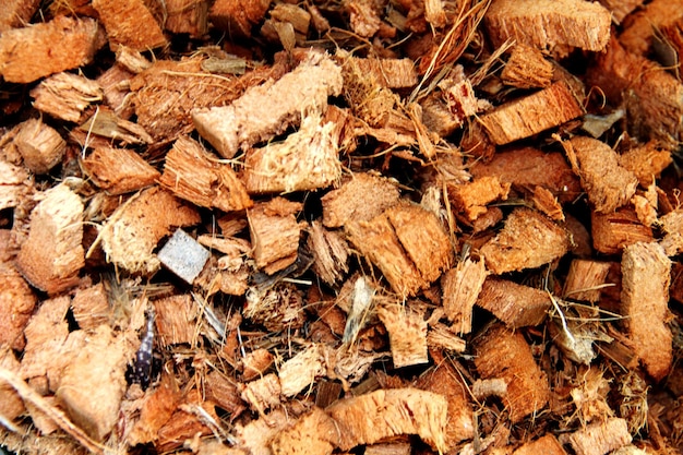 full frame shot of dry leaves