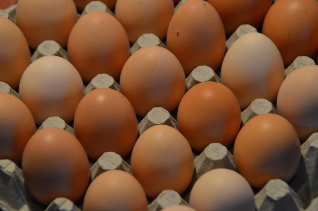 Full frame shot of eggs arranged in carton