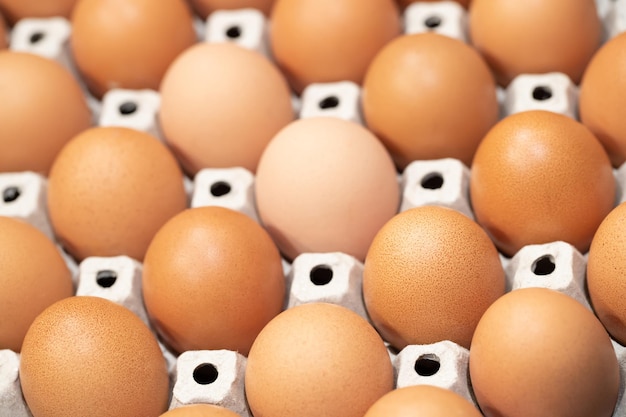 Full frame shot of eggs