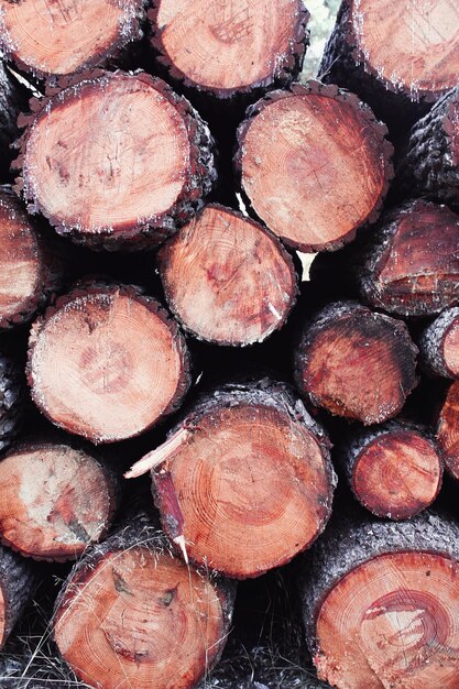 Photo full frame shot of firewood