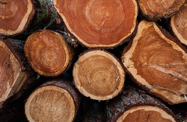 Full frame shot of firewood