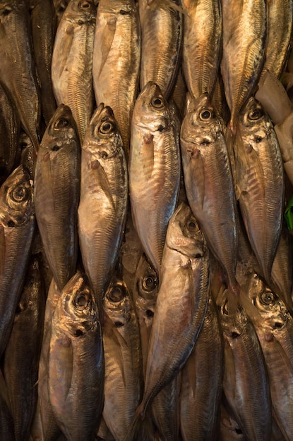 Photo full frame shot of fish in market