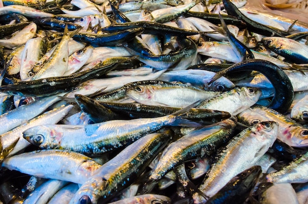 Foto scatto completo di pesce per la vendita sul mercato