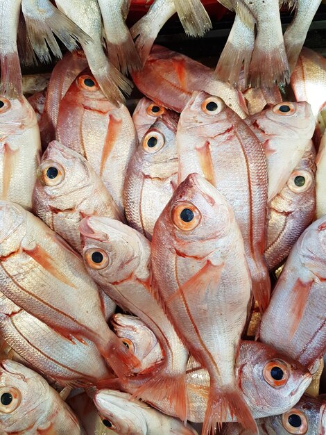 Full frame shot of fish for sale in market