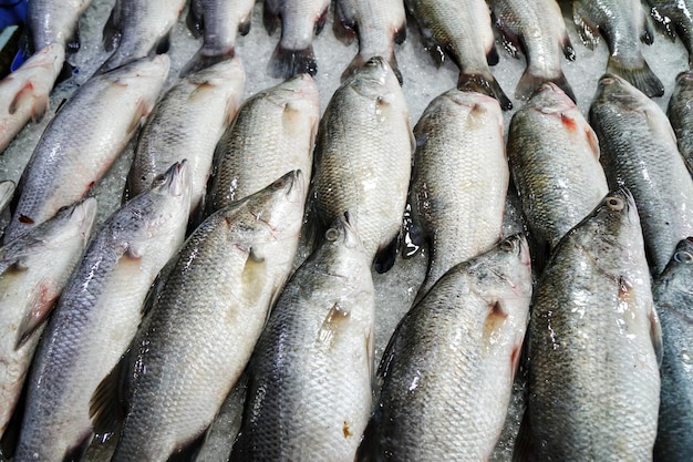 Полный кадр рыбы для продажи на рынке