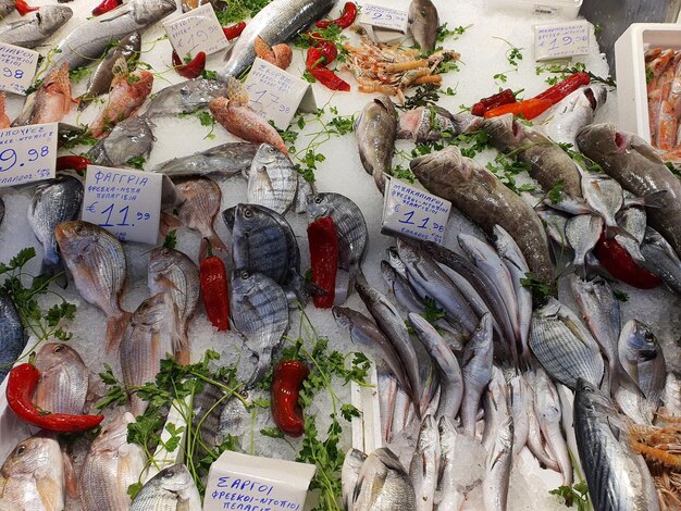 Photo full frame shot of fish for sale in market