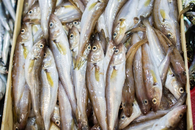 Full frame shot of fish for sale in market