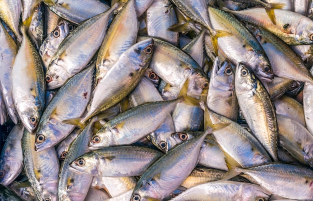 Полный кадр рыбы для продажи