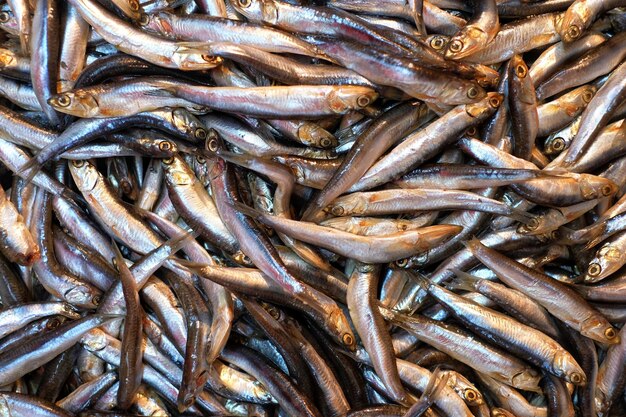 Full frame shot of fishes in market