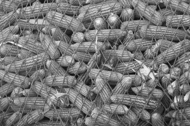 Photo full frame shot of fishing net