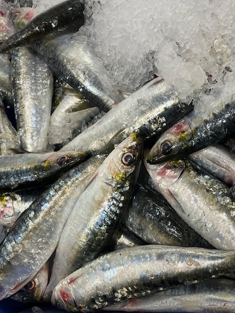 Foto fotografia completa di sardine luccicanti