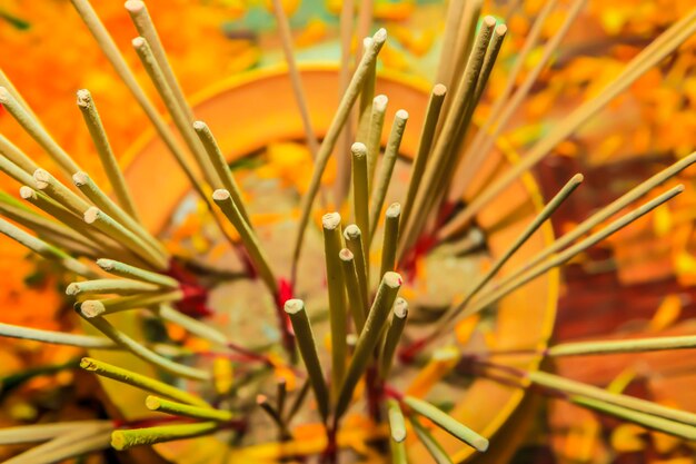 Full frame shot of flower