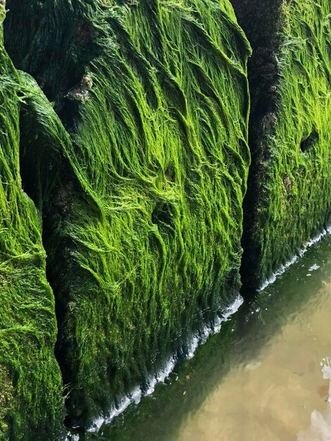 Full frame shot of flowing water