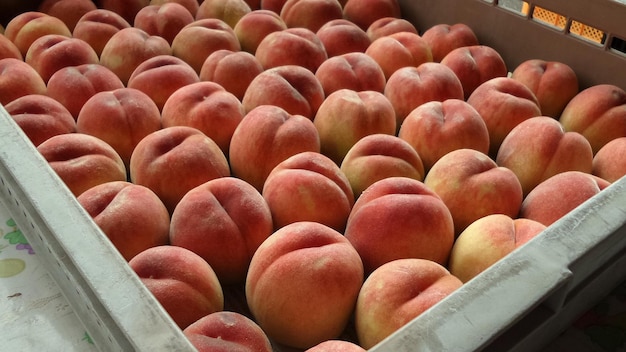 Foto immagine completa di cibo in vendita