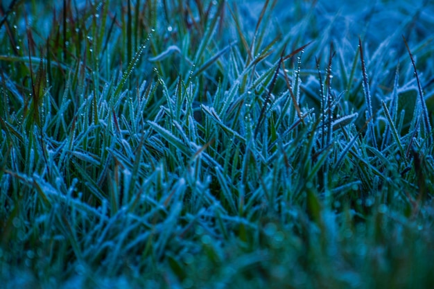 Photo full frame shot of frozen grass