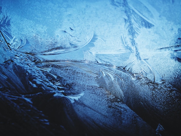 Photo full frame shot of frozen plants