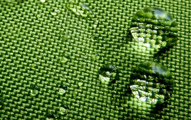 Photo full frame shot of fruit on plant