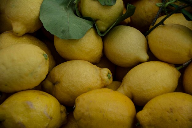 Full frame shot of fruits for sale in market