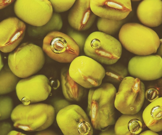 Photo full frame shot of fruits