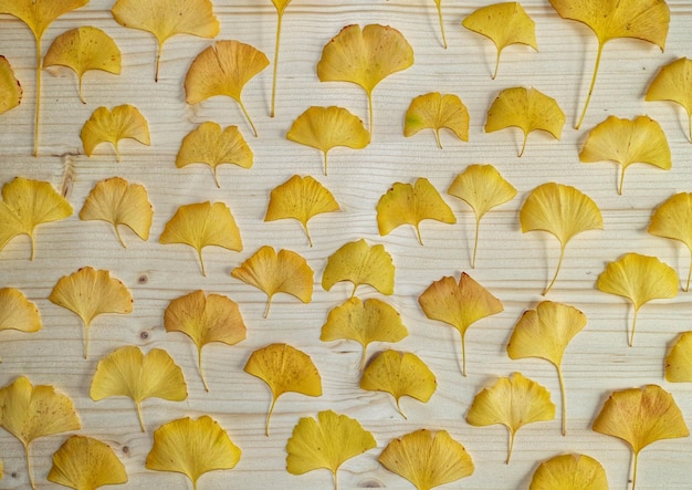 full frame shot of ginkgoleaves on wood