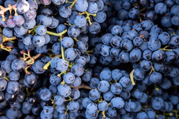 Photo full frame shot of grapes