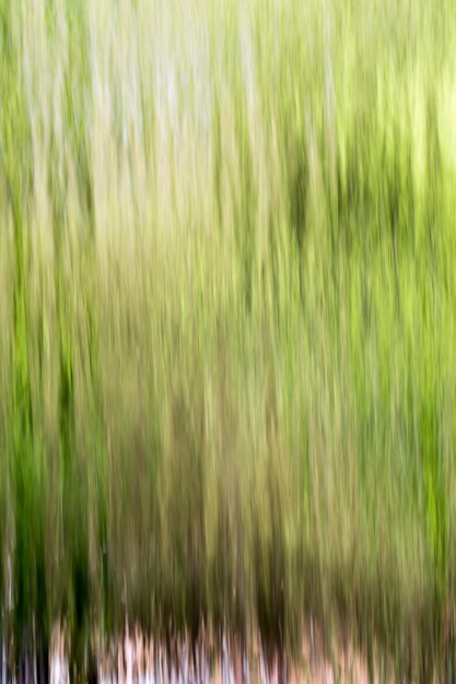 Full frame shot of grass on field