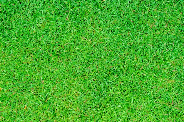 Photo full frame shot of grass on field