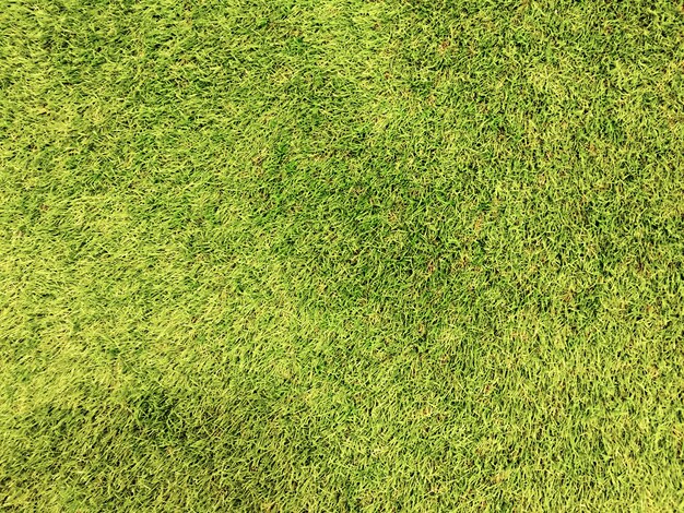 Full frame shot of grass on field