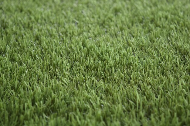 Photo full frame shot of grassy field