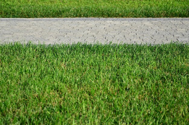 Photo full frame shot of grassy field