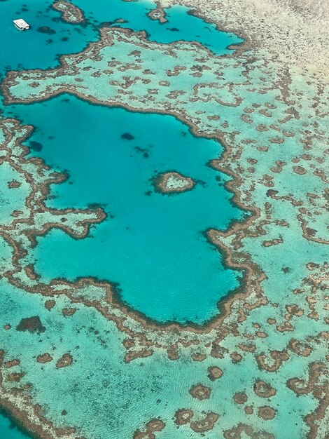 Foto fotografia completa della grande barriera corallina