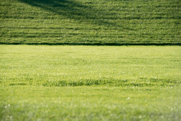 Photo full frame shot of green field