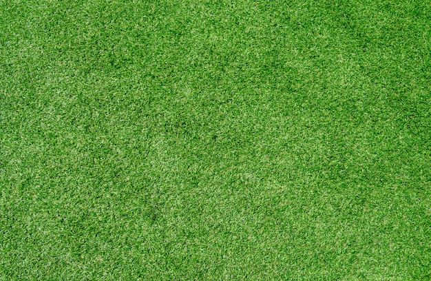 Full frame shot of green grass texture background.