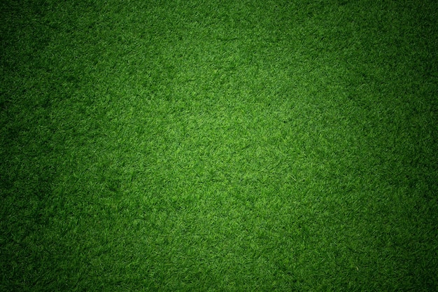 Full frame shot of green grass