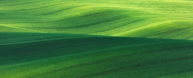 Full frame shot of green land