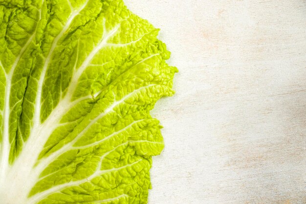 Full frame shot of green leaf against white background