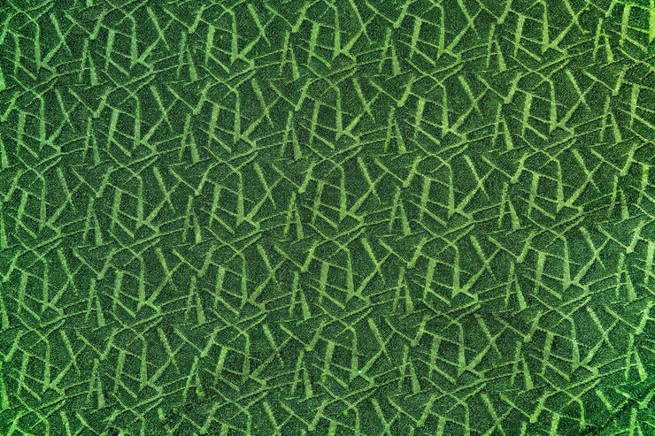 Photo full frame shot of green leaf