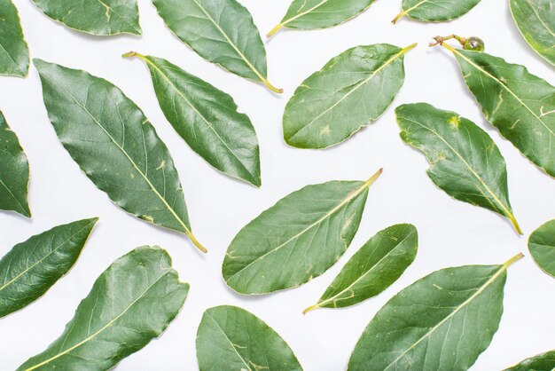 Full frame shot of green leaves