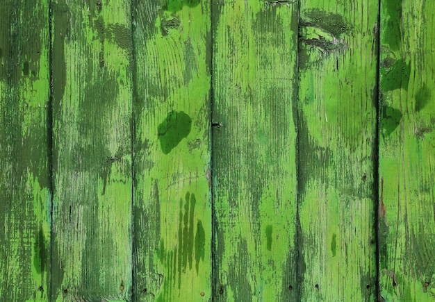 Foto scatto completo di legno verde