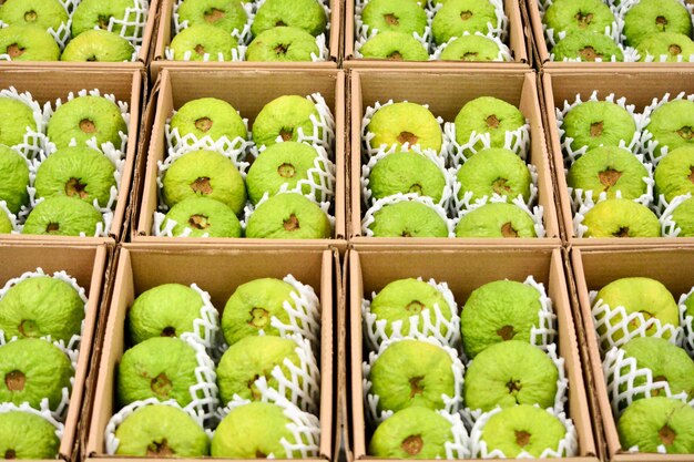 Full frame shot of guavas fruits