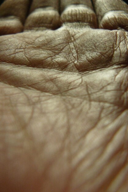 Full frame shot of hand palm