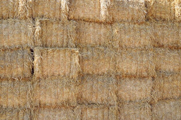 Photo full frame shot of hay bales