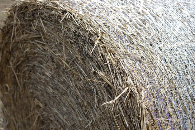 Photo full frame shot of hay bales
