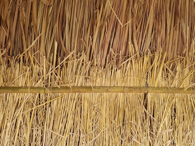 Photo full frame shot of hay roof