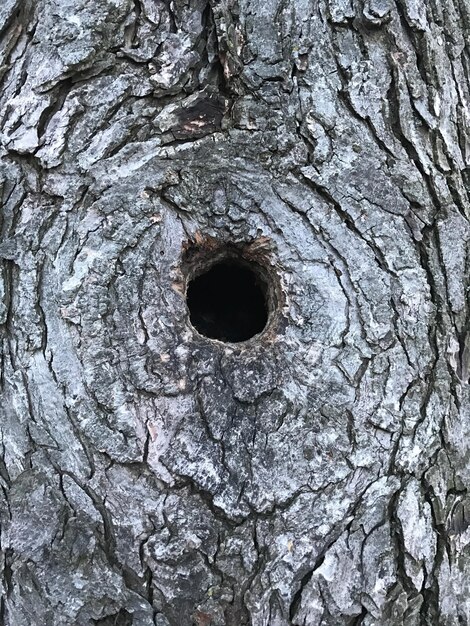 Photo full frame shot of hole