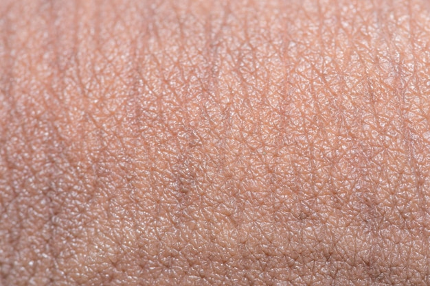 Full frame shot of human skin