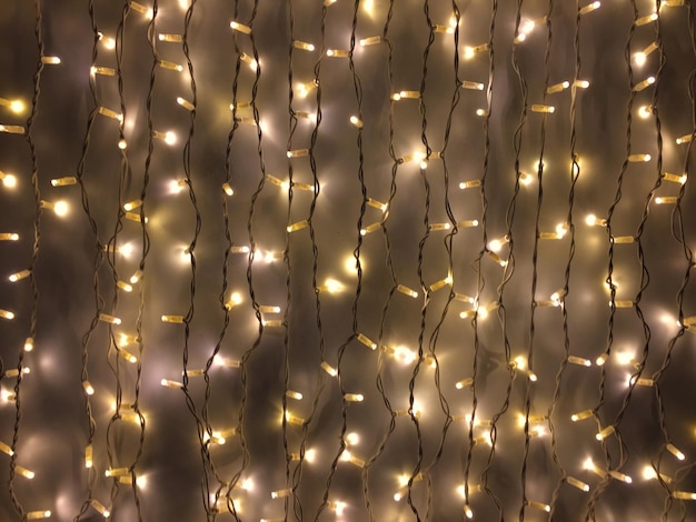 full frame shot of illuminated string lights